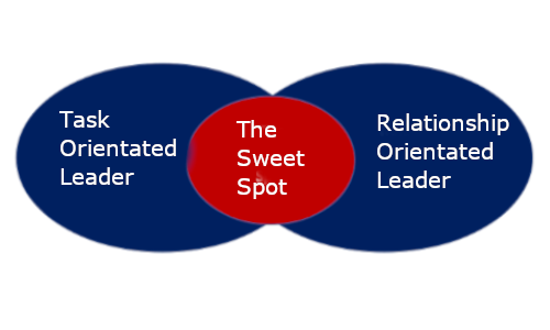 leadership task vs relationship
